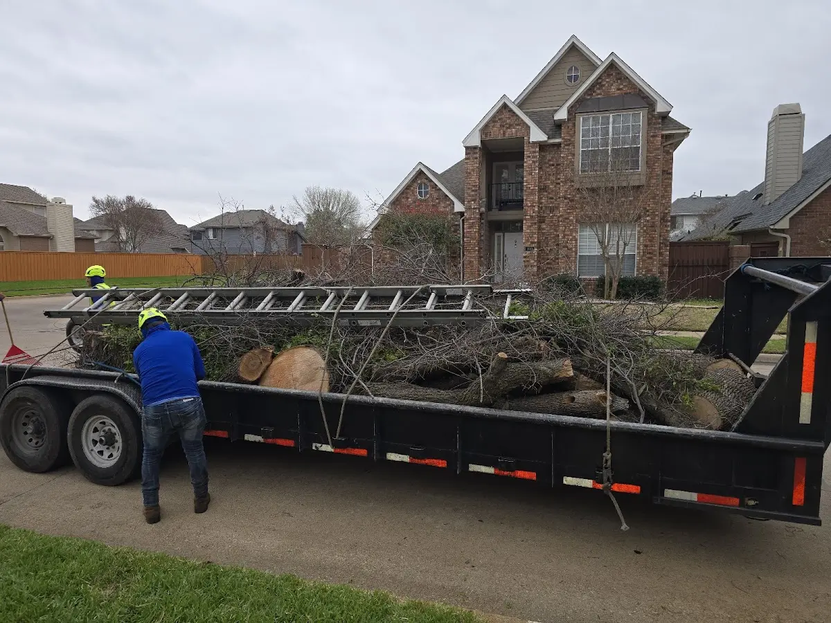 Expert Lot Clearing with proper safety equipment in Peck